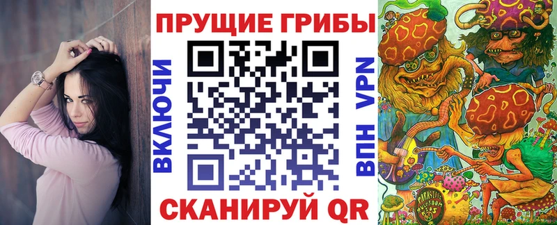 Псилоцибиновые грибы Psilocybe  mega как зайти  Гаврилов Посад 