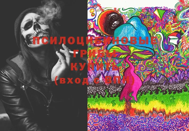 Псилоцибиновые грибы Psilocybe  Гаврилов Посад 